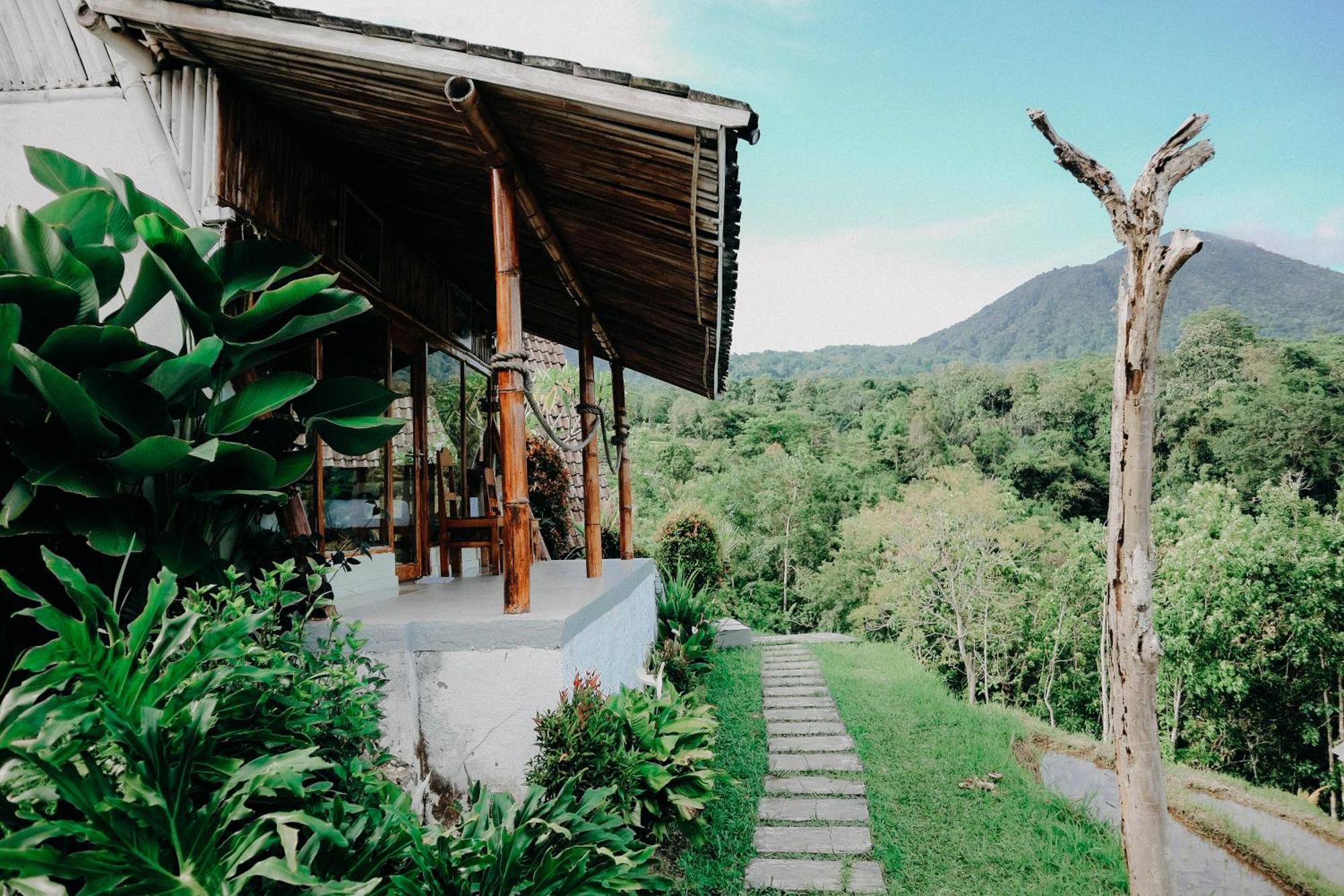 Padi Bali Jatiluwih Selemadeg