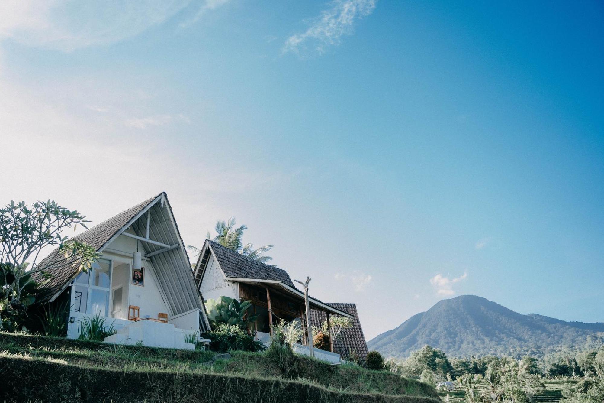 Lodge Padi Bali Jatiluwih Selemadeg